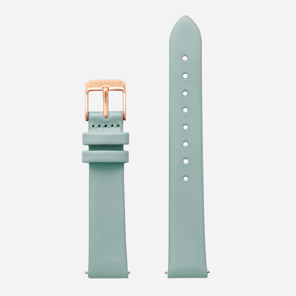交換用ベルト グレーアクア×RG
