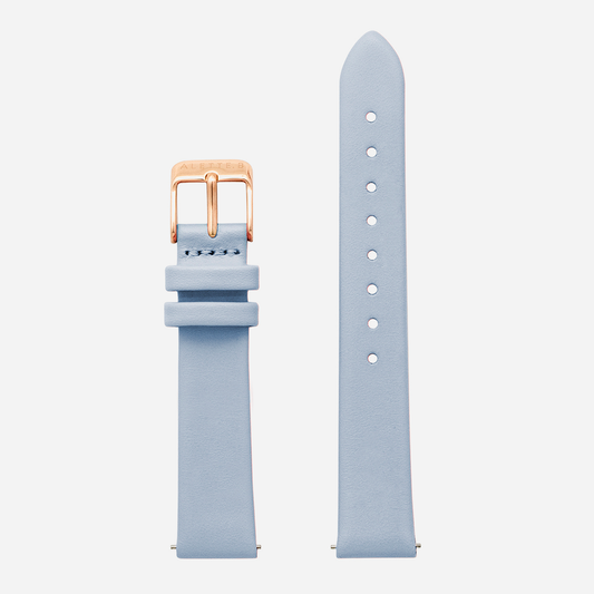 交換用ベルト スイスブルー×RG